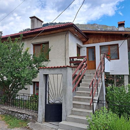 Guest House Denitsa トリグラド エクステリア 写真